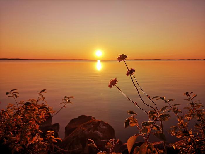 Auringon heijastus vedenpinnasta