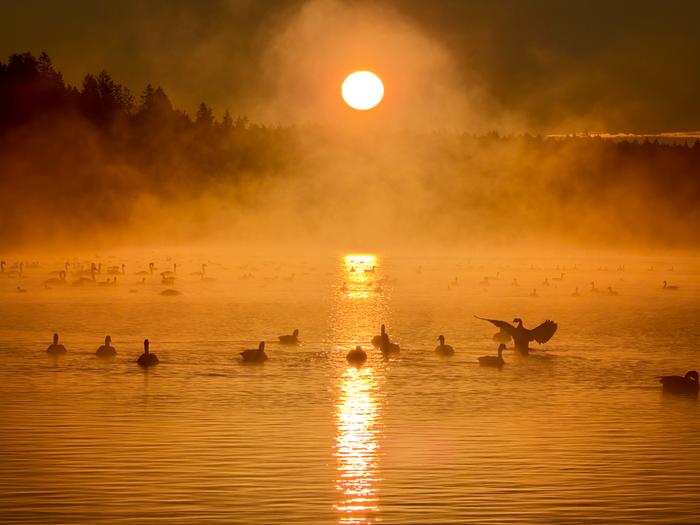 Auringonnousu Littoistenjärvellä.