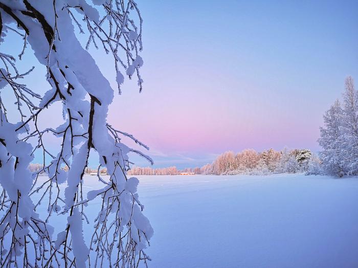 Kaunis pakkaspäivä.