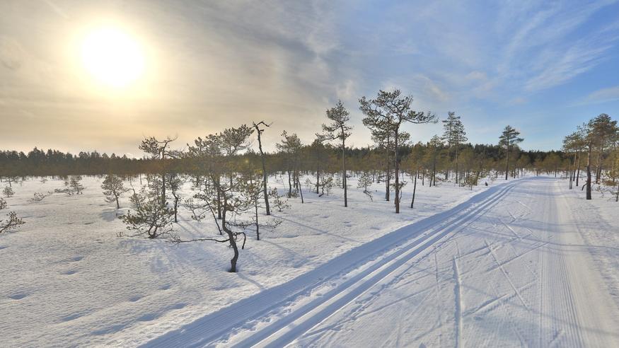Kuukausiennusteessa nyt karu viesti – ”Polaaripyörteen hajoaminen näkyy Suomen sääkartoilla tulevilla viikoilla” 