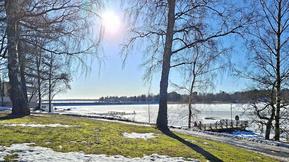 Vuoden tähän asti korkein lämpötila meni uusiksi: Jo lähes 11 astetta – myrsky mahdollinen loppuviikolla