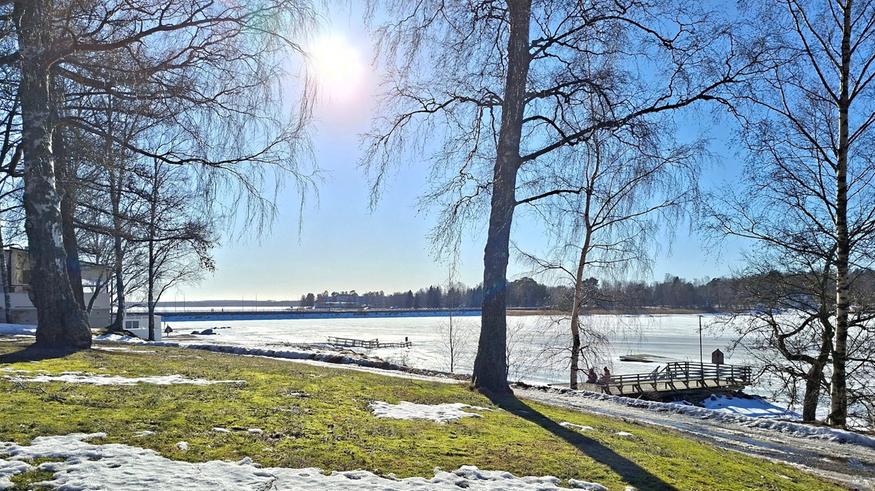 Vuoden tähän asti korkein lämpötila meni uusiksi: Jo lähes 11 astetta – myrsky mahdollinen loppuviikolla