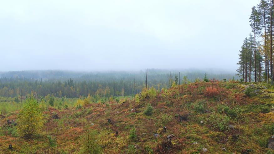 Suomi on syksyn kynnyksellä: Näitä muutoksia on odotettavissa!