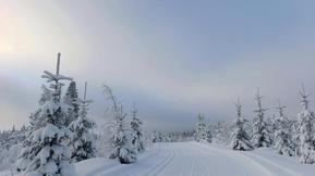 Uusi kuukausiennuste: Tältä näyttää talven jatko – katso lomakauden ennuste!