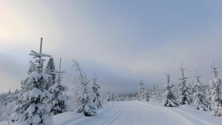 Uusi kuukausiennuste: Tältä näyttää talven jatko – katso lomakauden ennuste!