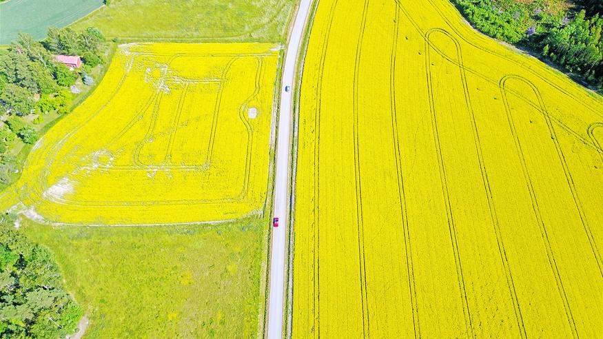 Vettä kaivataan – mutta helpotusta kuivuuteen ei juuri näy