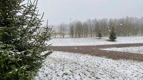 Voimakasta tuulta keskiviikkona, lumisade mahdollista etelässä asti tällä viikolla – miltä näyttää vapun tilanne nyt?