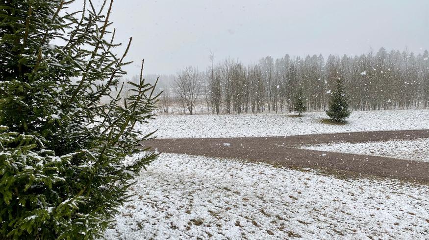 Voimakasta tuulta keskiviikkona, lumisade mahdollista etelässä asti tällä viikolla – miltä näyttää vapun tilanne nyt?