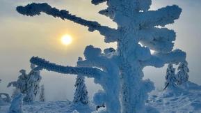 Uusi kuukausiennuste: Talvilomaviikot vietetään jopa hytisyttävässä talvisäässä