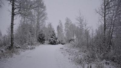 Hirmumyrskyn vaikutukset tuntuvat Suomessa saakka – ensin osassa maata tupruttaa lunta