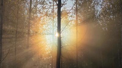 Kuukausiennuste: Sumuja ja syksyistä lämpöä