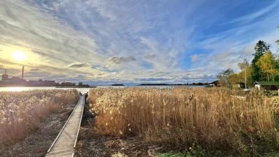 Alkuviikolla hetkittäin aurinkoista – Lapissa jo yli 10 astetta pakkasta, mutta pian puhaltaa lauha etelätuuli