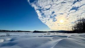 Tuore kuukausiennuste: Kevät etenee kohisten