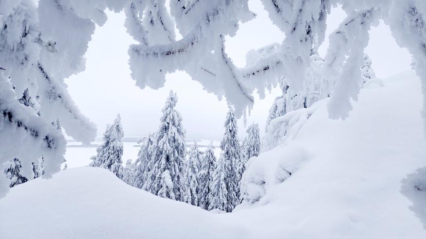 Pakkasviikonloppuna lumisateita liikkeellä – paikoin myös aurinko pilkahtaa