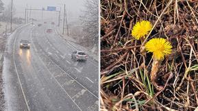 Mielenkiintoinen kuukausiennuste: ”Kiinnostavaa nähdä, mitä kuunvaihteessa tapahtuu”