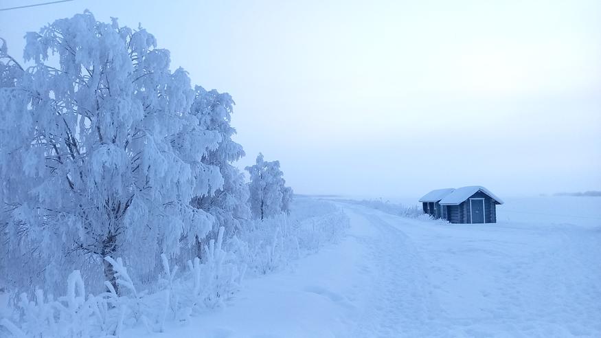Helmikuun kuukausiennuste: Kylmää, kylmää, edelleen kylmää Helmikuun kuukausiennuste: Kylmää, kylmää, edelleen kylmää