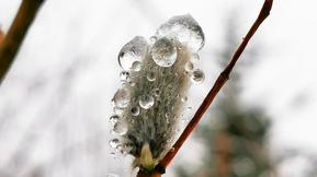 Viikon sää: Pääsiäisen sää – Mitä ihmettä?!