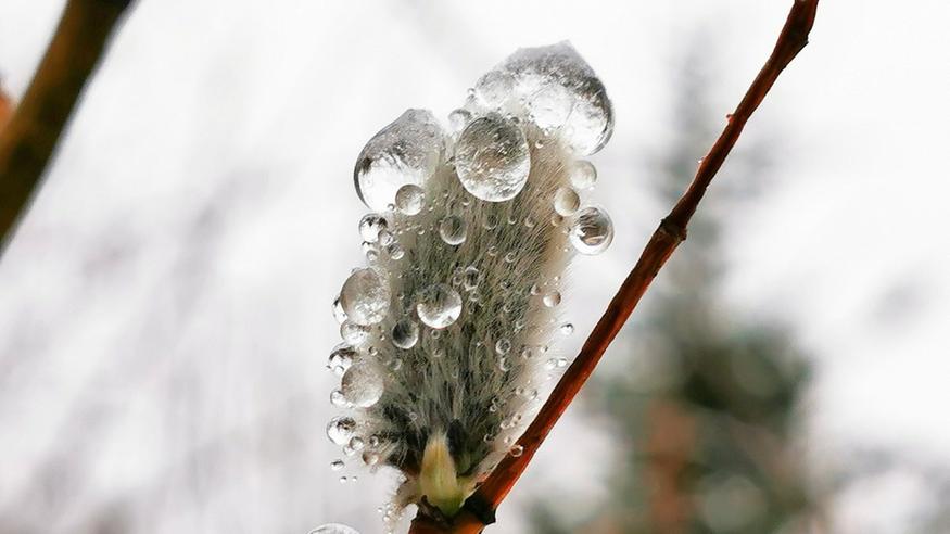 Viikon sää: Pääsiäisen sää – Mitä ihmettä?!