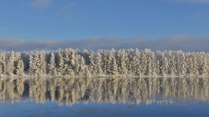 Tuore kuukausiennuste: Kylmälle säälle ei näy loppua Tuore kuukausiennuste: Kylmälle säälle ei näy loppua