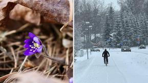 Uusi kuukausiennuste: Kevätlämpöä vai lumisateita? Näin meteorologi kommentoi