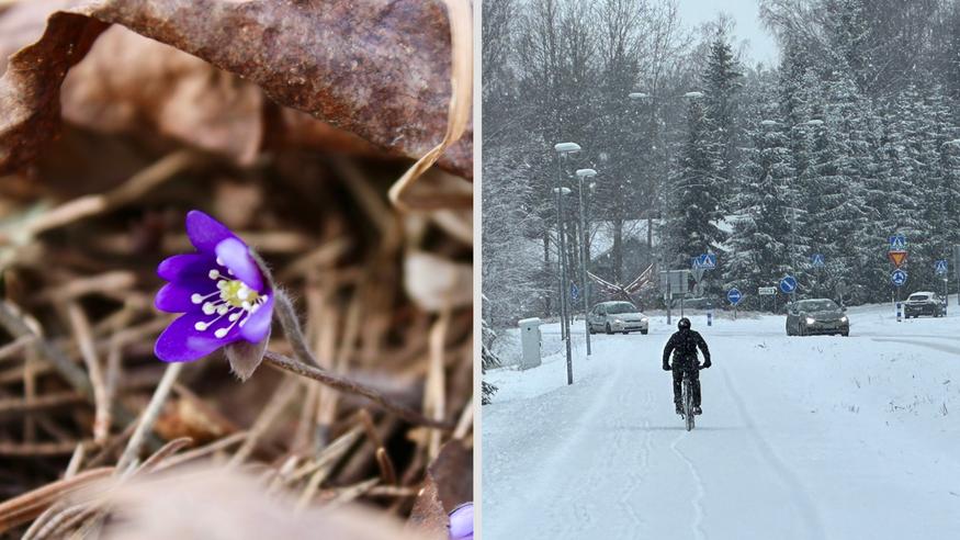 Uusi kuukausiennuste: Kevätlämpöä vai lumisateita? Näin meteorologi kommentoi