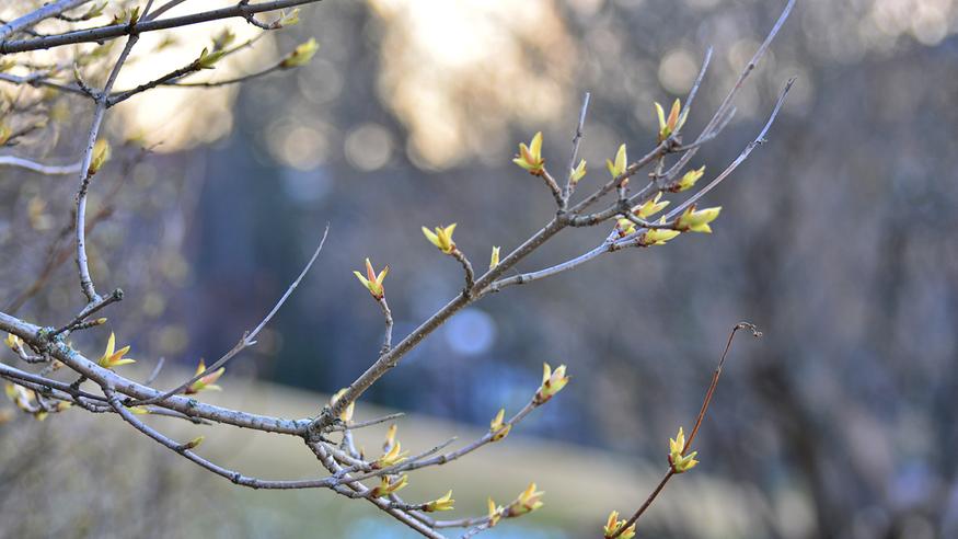 Suomen sää huhtikuussa tilastojen mukaan