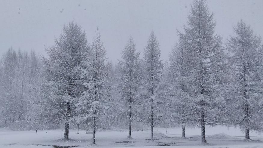 Viikon alussa Suomeen lisää lunta – itsenäisyyspäivänä osassa maata huono ajokeli