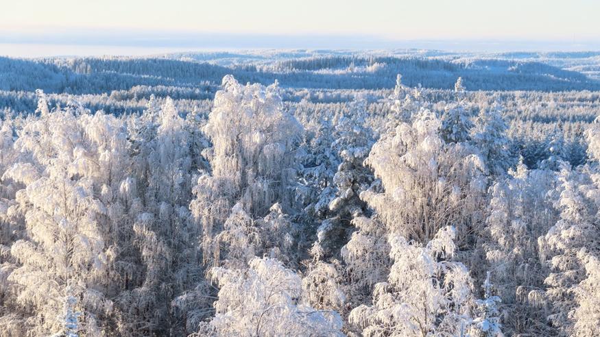 Sydäntalven lumitilanne Suomessa: Yli puolen metrin ero alueiden välillä