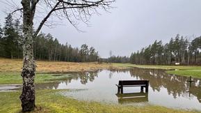 Joulukuu oli tavanomaista lauhempi – Hannes-myrsky runteli Suomea
