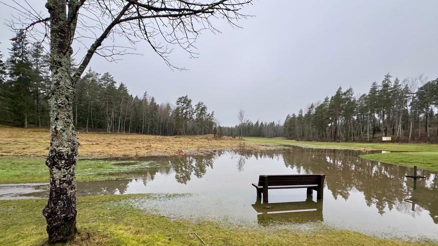 Joulukuu oli tavanomaista lauhempi – Hannes-myrsky runteli Suomea