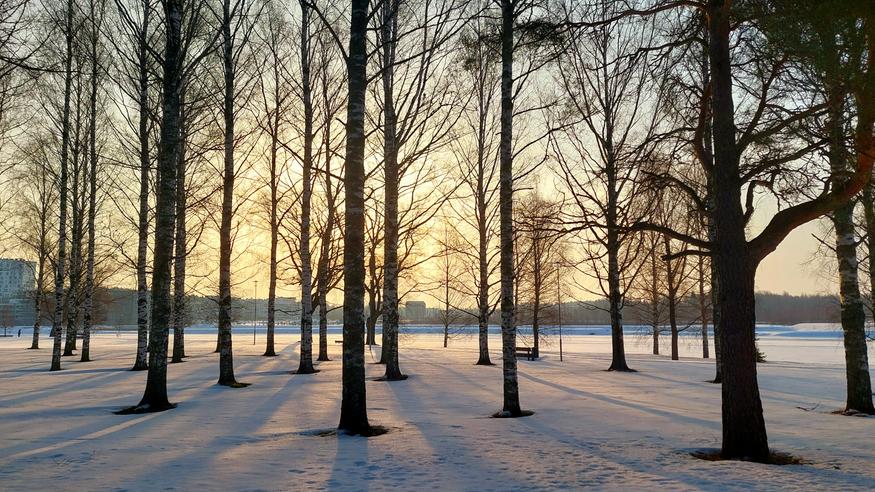 Myrskyisä alku viikonlopulle – tulossa myös aurinkoa, sadetta ja keväistä lämpöä