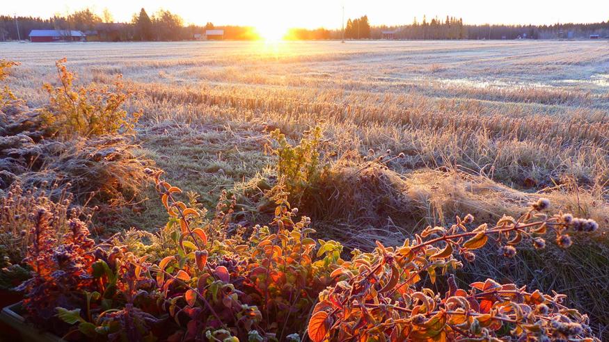 Aurinkoisen alkuviikon yllättäjä – tiistaiaamuna kuura voi liukastaa tienpintoja