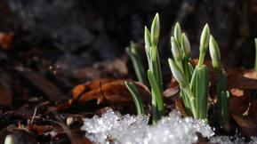 Kuukausiennuste julki: Näin mennään kohti pääsiäistä – mitä tekee arvaamaton polaaripyörre?