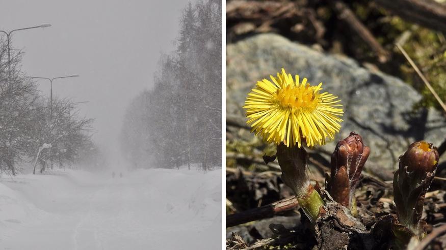 Ennuste: Suomi joutuu törmäyskurssille – toisella puolella takatalvi, toisella +20