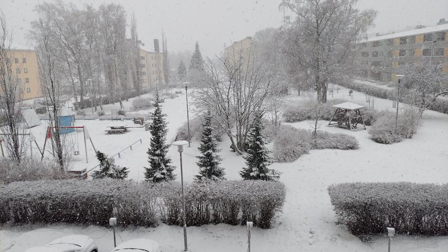 Viikon sää: Lunta sataa päivittäin jossain päin Suomea, osassa maata ajoittain 10–20 pakkasastetta