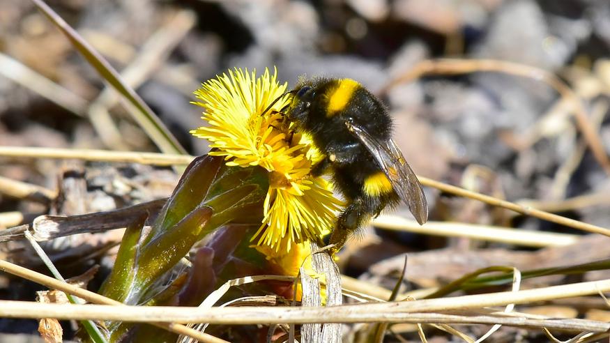 Maanantaina tehtiin kevään uusi lämpöennätys – maastopalovaara laajalla alueella Suomessa