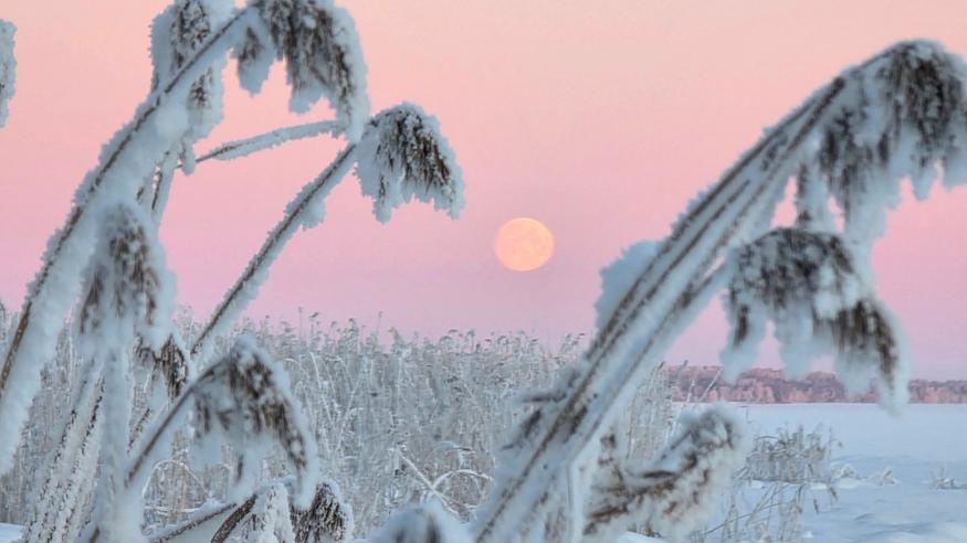 Kuukausiennuste: Suomi jää kylmän ilman loukkuun 