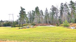 Lepän ja pähkinäpensaan kukinta on alkanut lounaassa