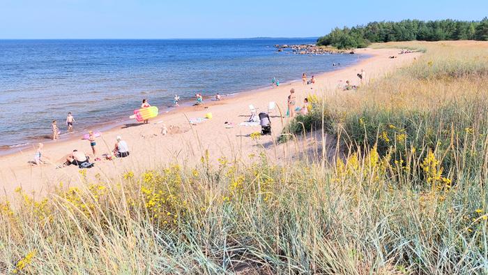 Elokuun hellettä Lohtajalla.