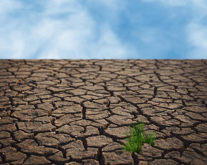 El Niñon aikana kuivuus piinaa osaa maapalloa.