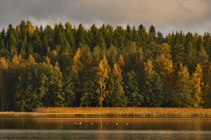 Syksyn sävyjä Syksyn sävyjä Laukaassa.