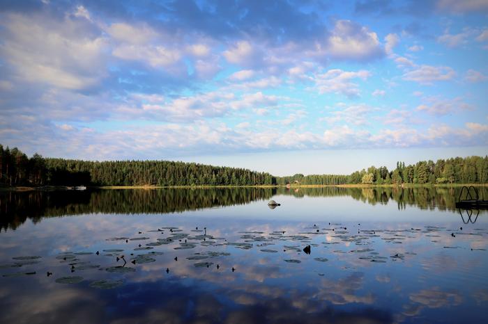 Lämmin elokuun aamu Virroilla.