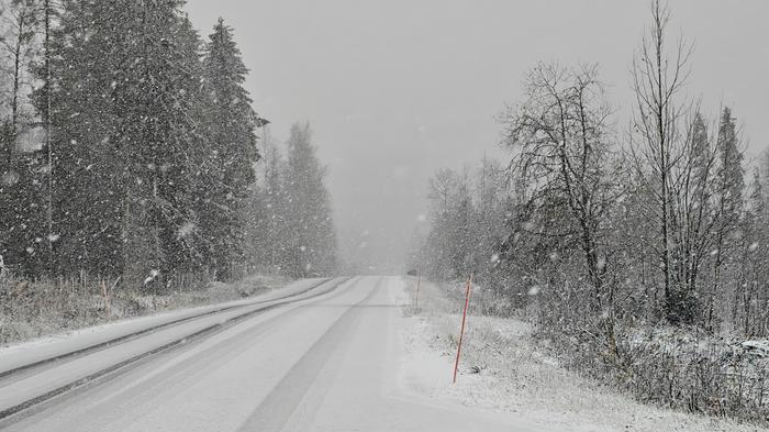 Lumipyry Taivalkoskella Lunta satoi paikoin sakeasti ja puuskaisen tuulen kanssa.