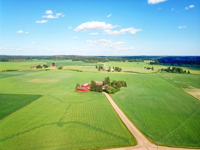 Cumulus clouds on a summer sky Clouds can reach from ground level up to a height of 50 miles.