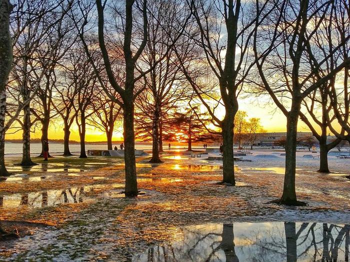 Föhn-tuuli Helsingissä Föhn-tilanne helmikuussa Helsingissä, lämpötila kohosi +8 asteeseen. Kuva Eiranrannasta.
