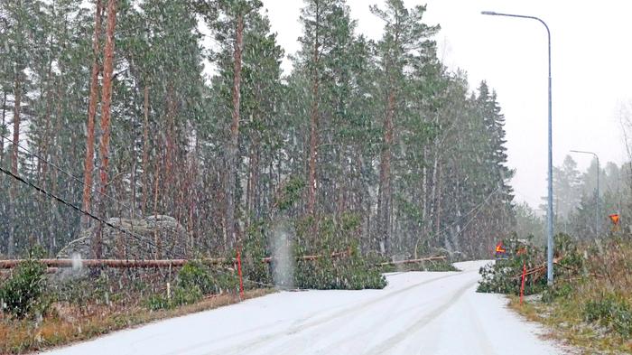 Hannes-myrskyn tuhoja Hannes-myrskyn kaatamia puita ja sähkölinjoja.