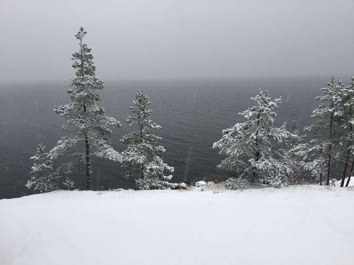 Harmaa lumisadepäivä Lumipeite tuo harmaaseenkin päivään valoa.