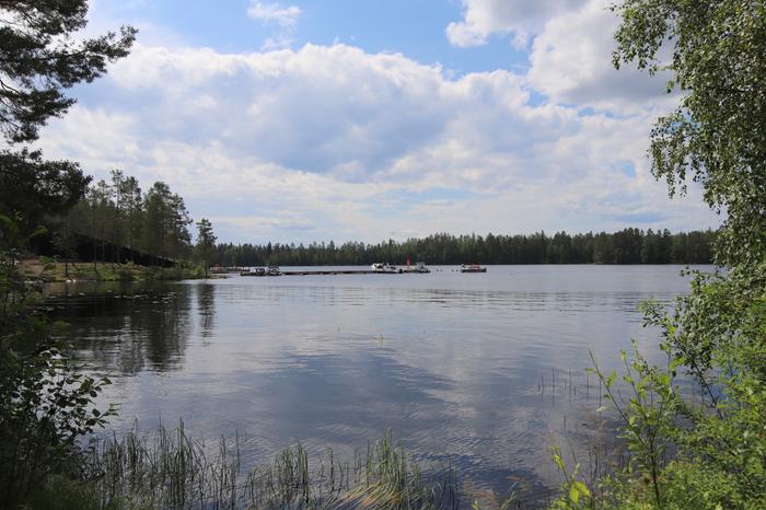 Hellettä esiintyi siellä täällä juhannuspäivänä.