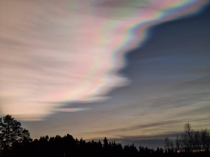 Helmiäispilvi Lestijärvellä Laaja helmiäispilvilautta Lestijärvellä.