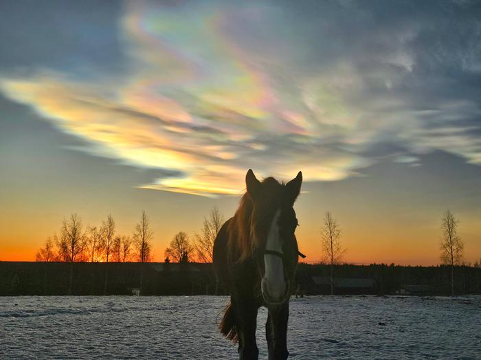Helmiäispilviä Rääkkylässä Helmiäispilviä Rääkkylässä.